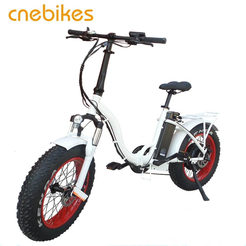 Cnebikes 20'' Folding Electric Bike Fat Tire Electric Bicycle for Adult