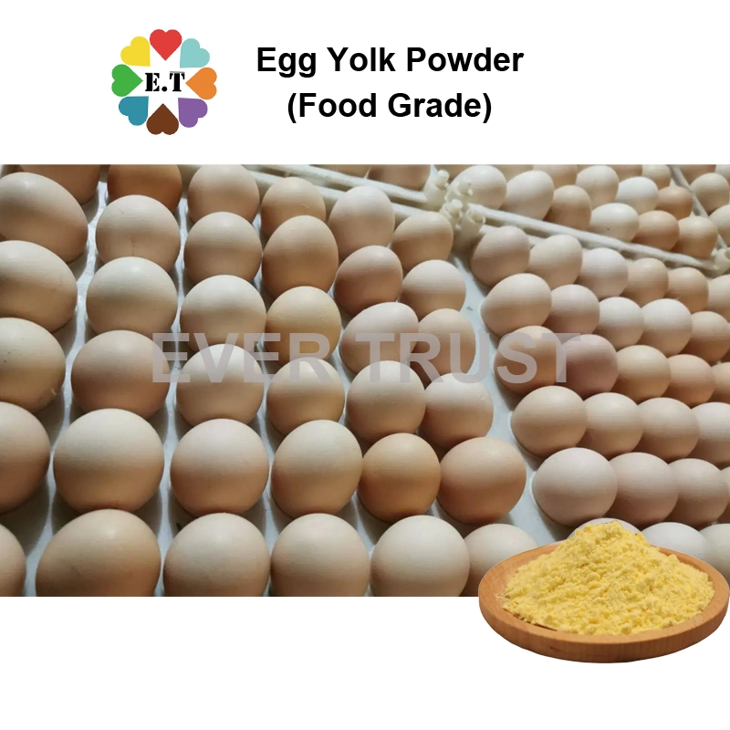 Egg Yolk Powder High Quality Nutrition Supplement Yellow Food Coloring Manufacturer Price