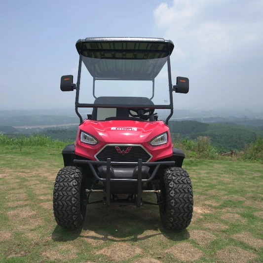 Wuling Lifted Golf Cart with 2+2 Seats 5kw Power CE Certification