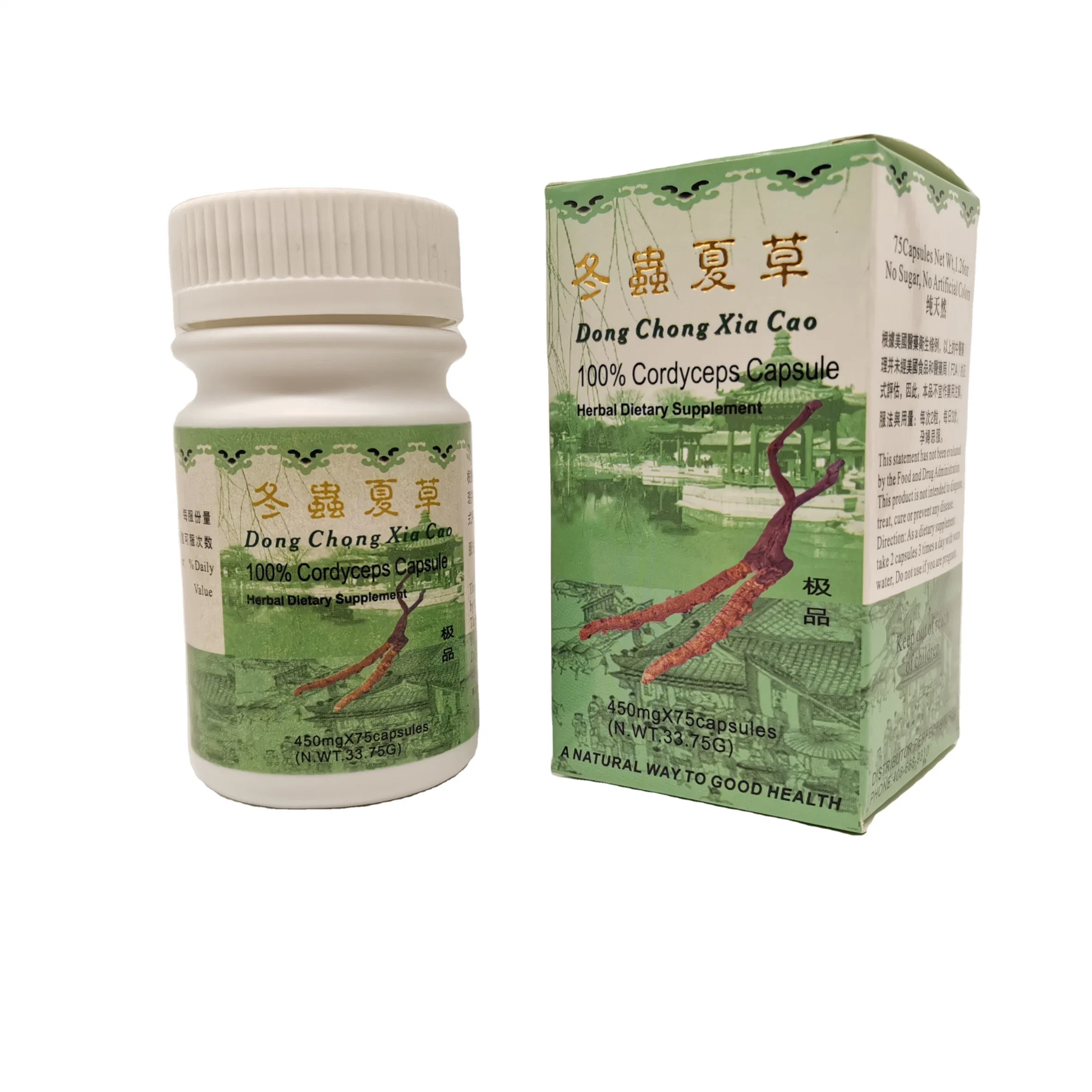 Health Food for Resisting Inflammation and Kidney Failure Cordyceps Capsule