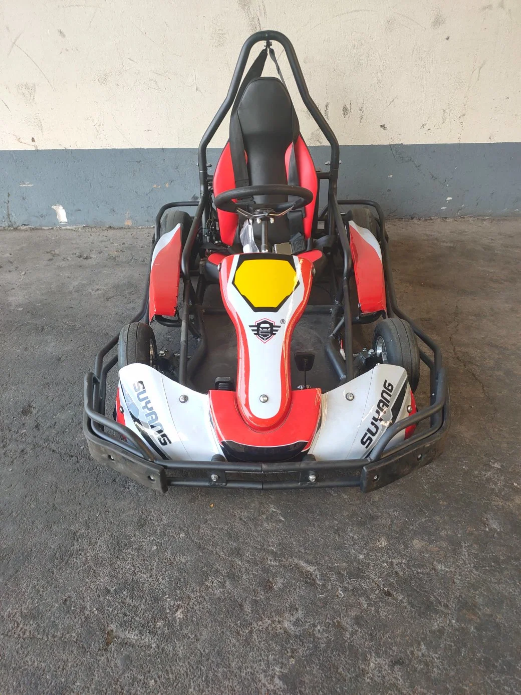 Suyang Günstige 3000W Elektro Go Kart 48V22ah Blei-Säure-Batterie Erwachsene Mini-Karting