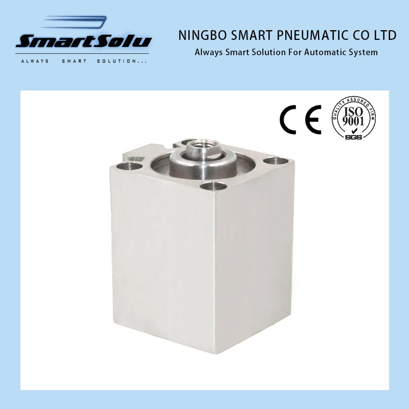 European Asian SMC Full Stainless Steel Customized Pneumatic Air Cylinder