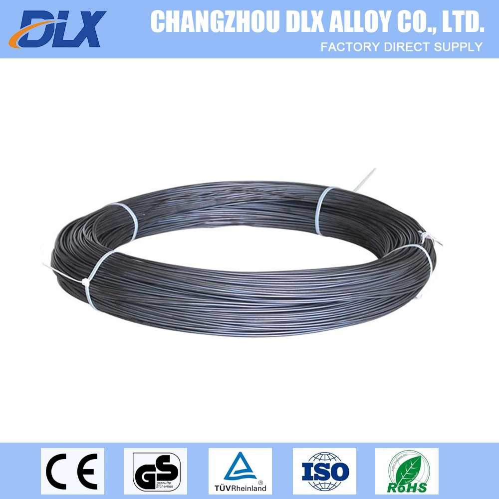 SS316 Sheathed Heating Extension Mi Cable for Rtd or Thermocouple Control Electric Waterproof Rubber Mineral Cable