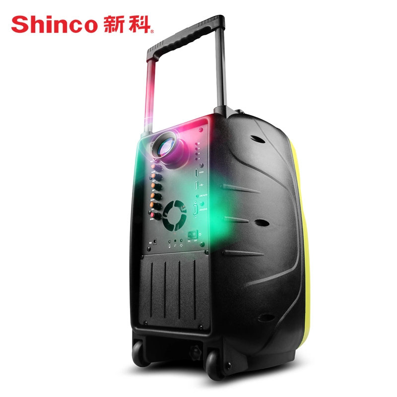 Portable Projector Speaker with USB/SD, Bluetooth, FM, Aux in