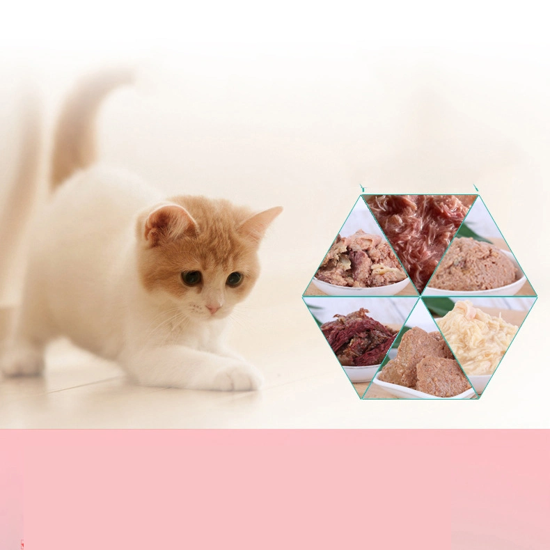 170 gramas direto de fábrica pode ser OEM OEM da carne de frango de carne fresca de alimentos húmidos Pet Cat conservas