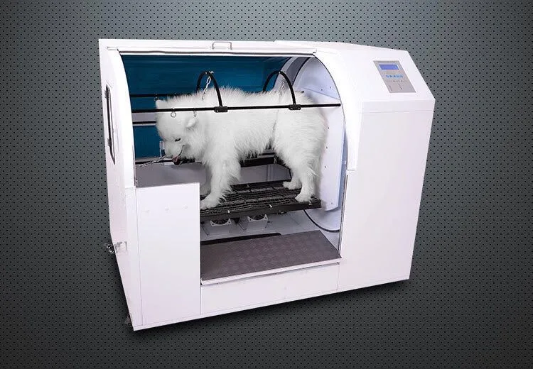 Veterinary Equipment Automatic Pet Hair Dryer for Giant Large Dogs