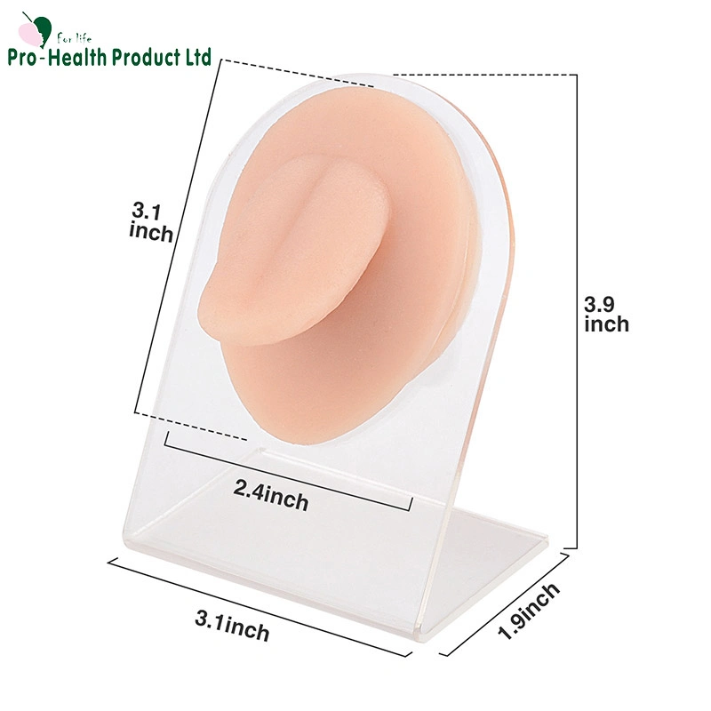 Silicone Tongue Model, Imitation Mold for Piercing Practice and Jewelry Display