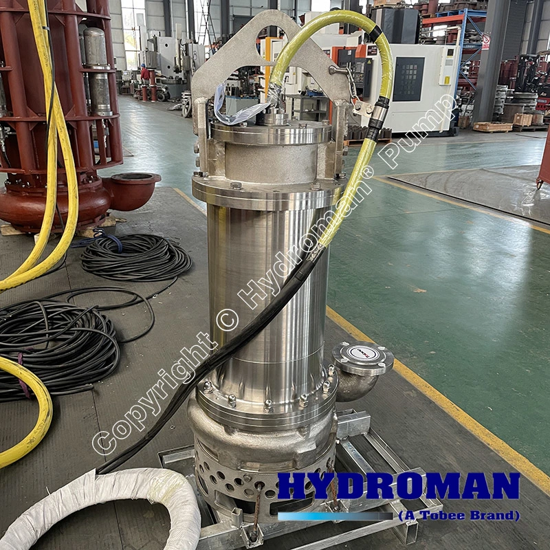 Hydroman Electric Submersible Stainless Steel Sand Slurry Pump for Coal Washing