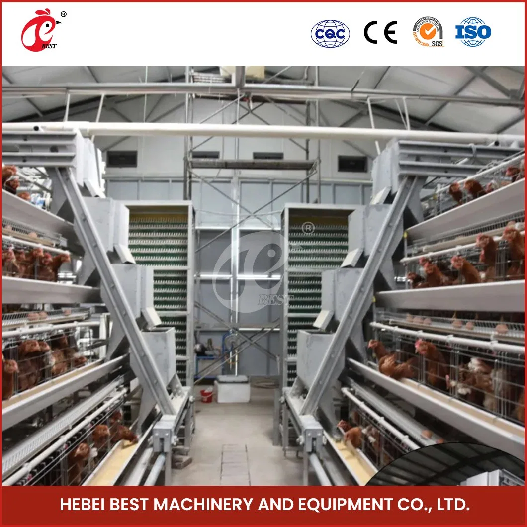 Bestchickencage China a Frame Chicken Layer Coop Factory OEM Custom Poultry Layer Chicken Cage for Poultry Farming Configuration Chicken Coop Floor