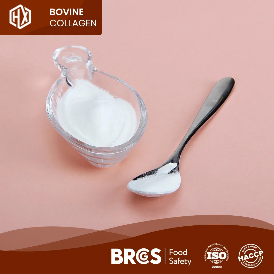 Haoxiang Collagen Peptides From Bovine Bone OEM Customized Bovine Collagen Peptide Protein Powder China Manufacturers One-Stop Service Growth Collagen Peptides