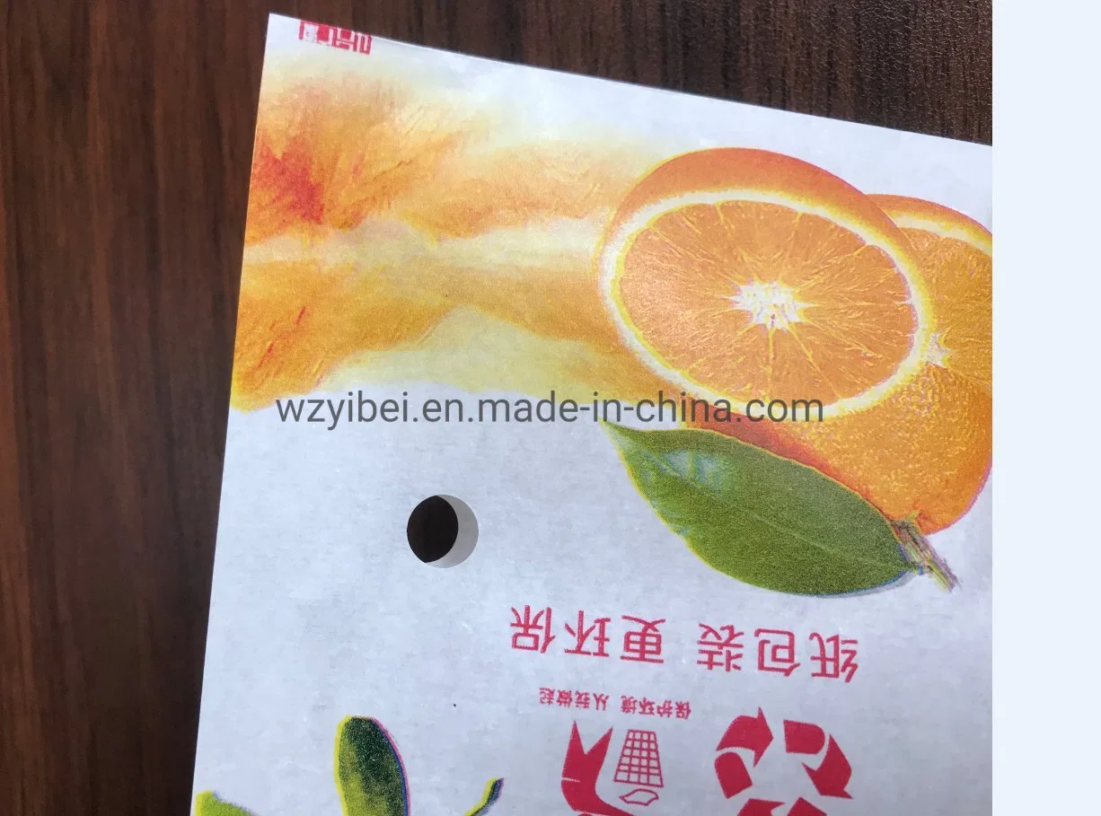 Sealable Custom Printed Fruit Orange Display Delivery Packaging Paper Bag