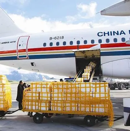 Mejor Transporte Aéreo Transporte Marítimo de aire de Guangzhou a Douala Camerún mejor agente de transporte de carga aérea