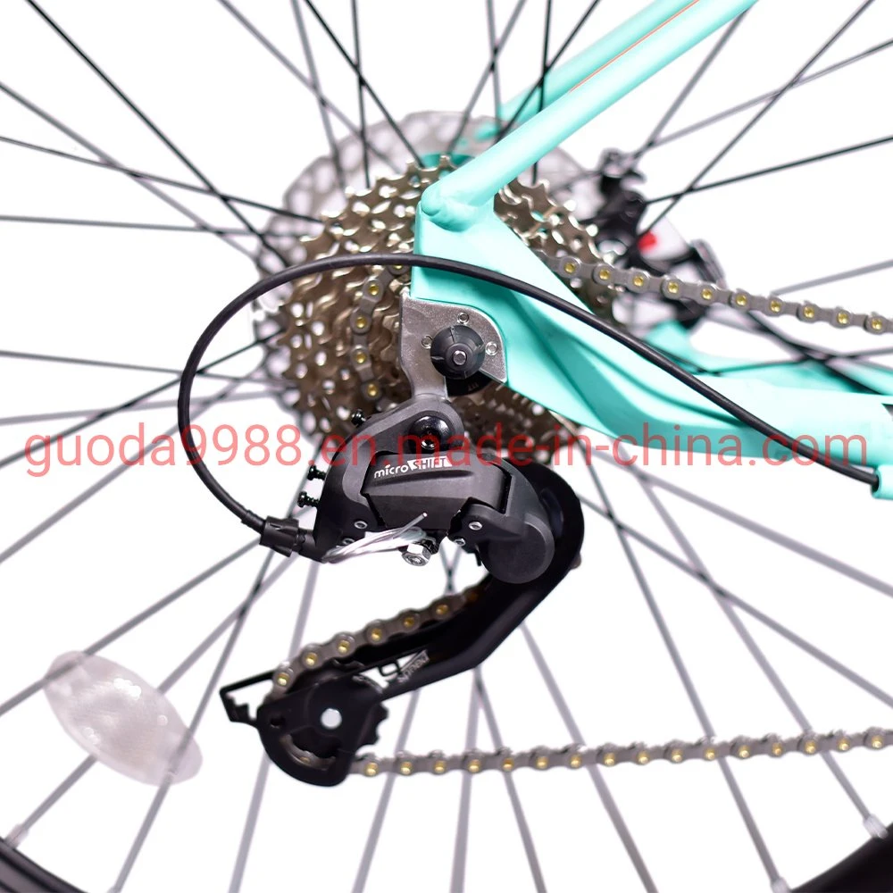 Green Lady Man Bike MTB aleación Mountain Bike OEM