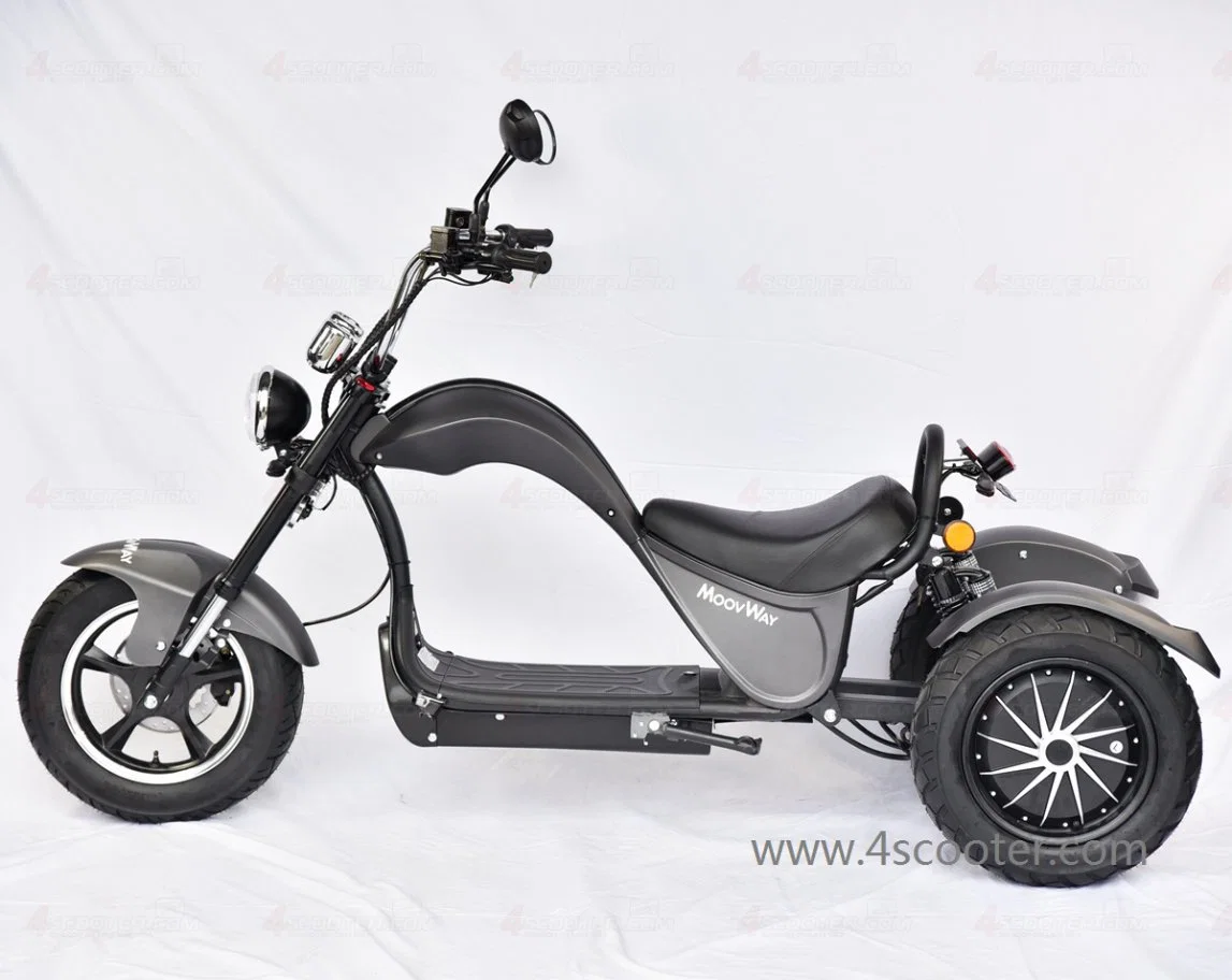 EEC High quality/High cost performance  4000W 3 Wheels Electric Scooter Trike