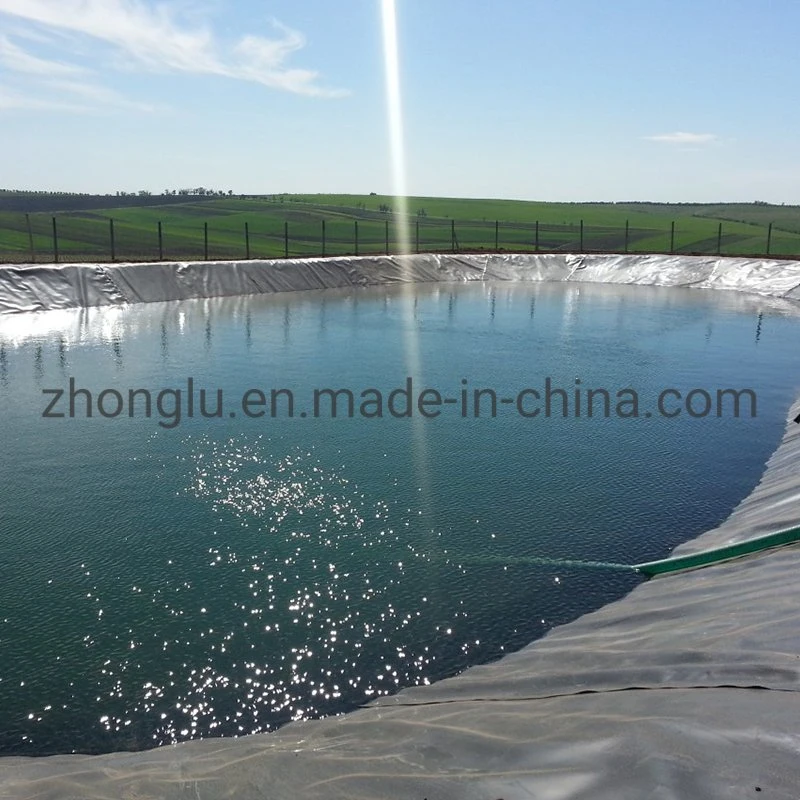 Preis ab Werk 0,5mm 1mm 1,5mm 2mm HDPE Geo Membran Geomembrane Dam Fish Farm Tank Pool Pond Liner