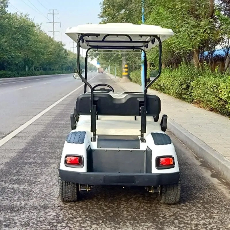 2023 Beliebte Sport 4 Seat 6 Sitzer 4/5kw Side by Side Elektro-Golfwagen, Günstige Adult Farm 4X2 off Road Golf Car mit 2-Punkt-Sicherheitsgurt