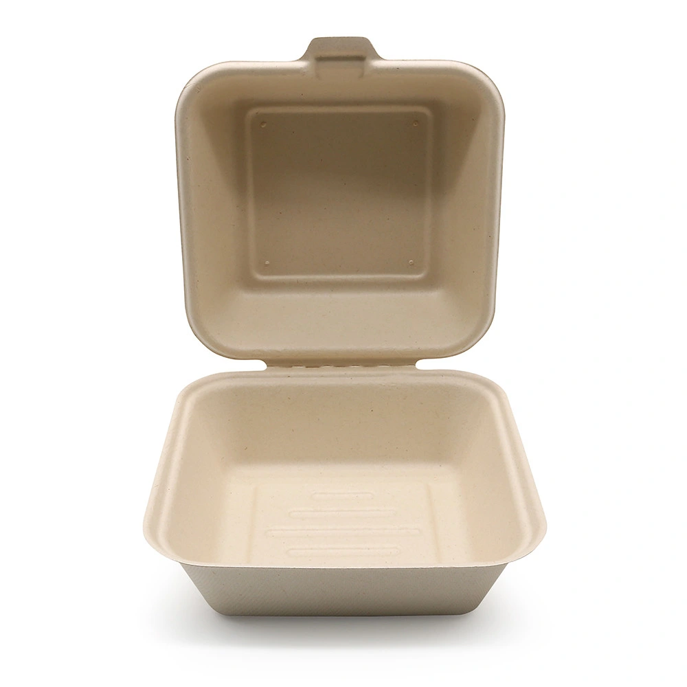 Compostable envase de comida desechable de la caja de embalaje de alimentos