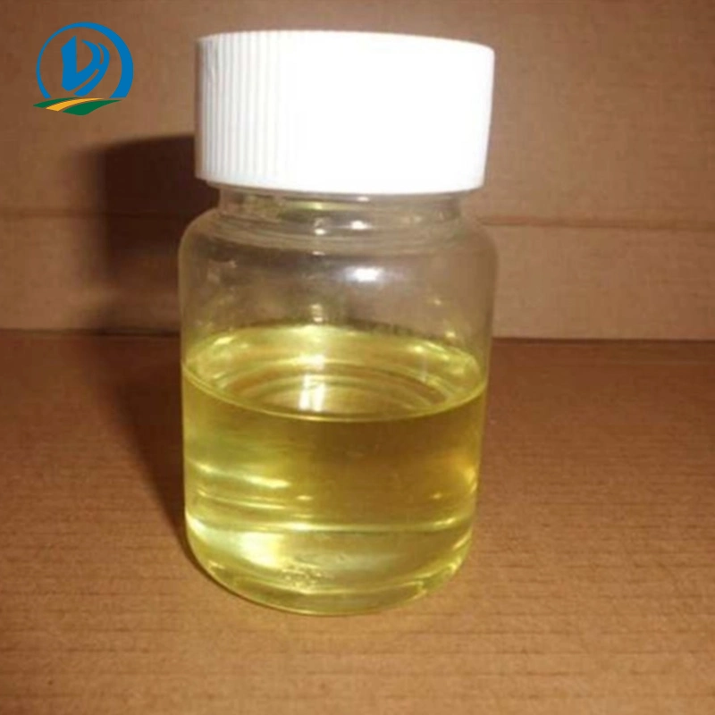 Factory Direct Supply of Natural Garlic, Allicin, Garlic Extract Powder