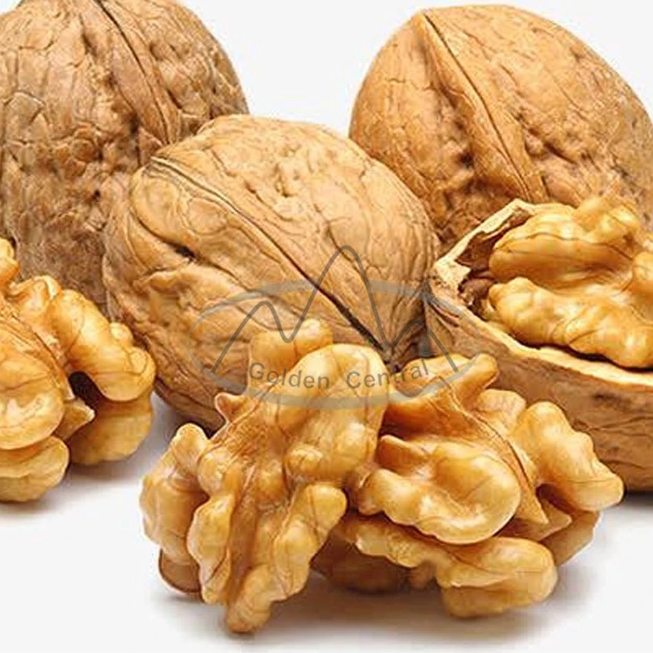 Comercio al por mayor valor nutritivo delicioso nueces de nogal Raw original a bajo precio