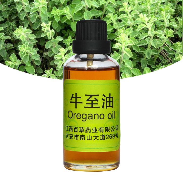 Oregano Oil 70% Carvacrol/Origanum Oil Fragrance Oil Food Flavour Base Oil Essential Oil