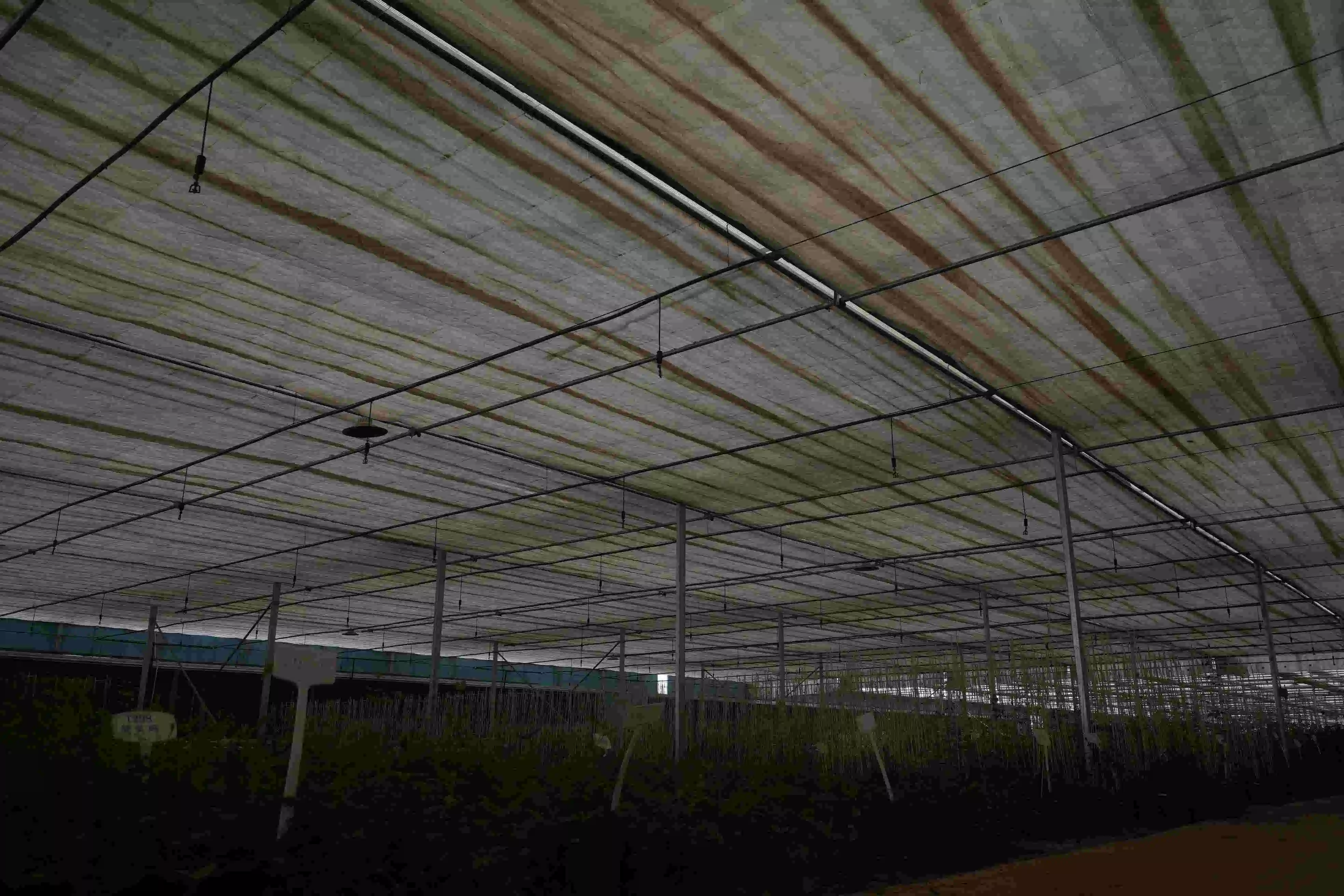 Farming Outside Shading System for Greenhouse