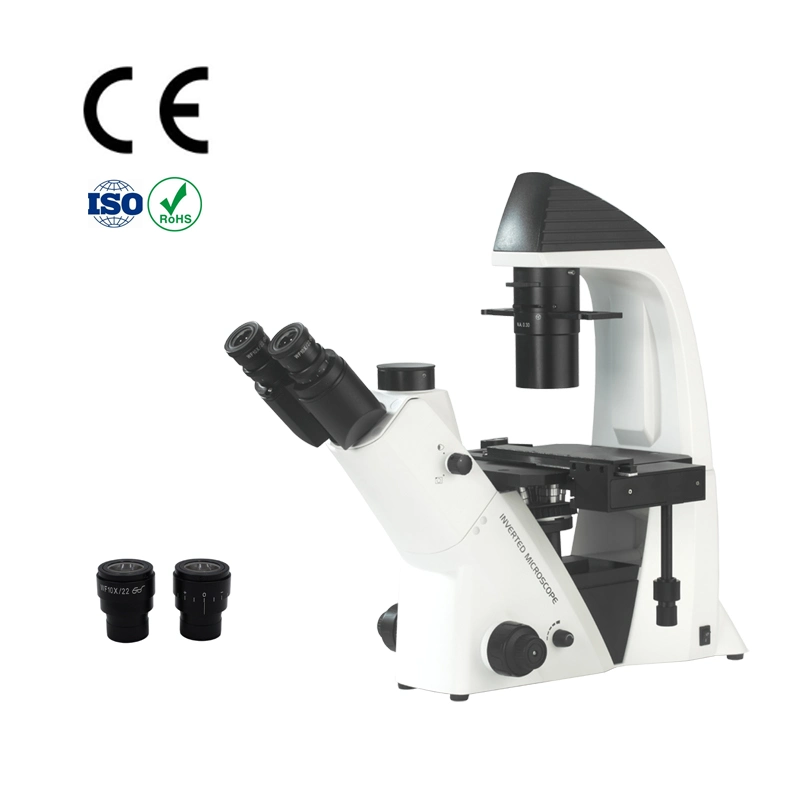 Toallitas de Microscopio MOTIC BA310e invierte en China microscopio biológico para la personalización básica