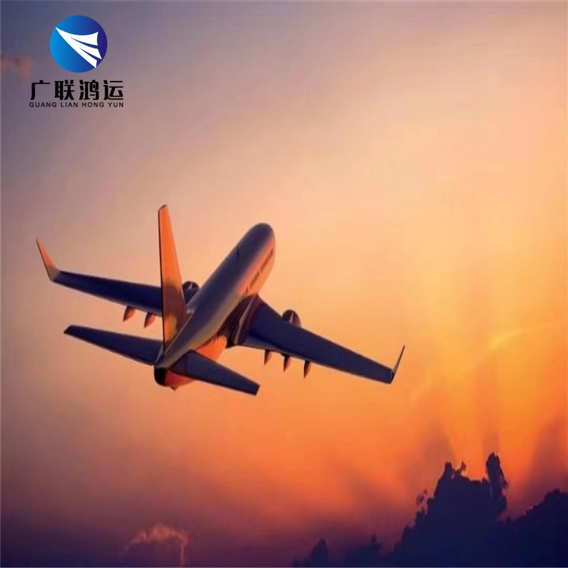 Professional Air Cargo Envío Express Freight Forwarder Agente China a la India el aeropuerto de Nueva Delhi.