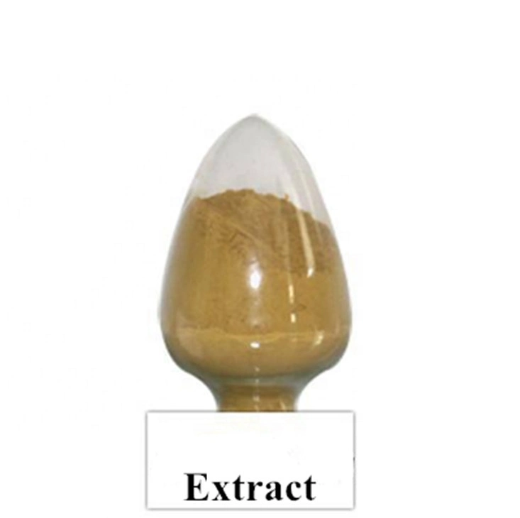 High quality/High cost performance  Rehmannia Glutinosa PE 5: 1 Prepared Rehmannia Root Extract