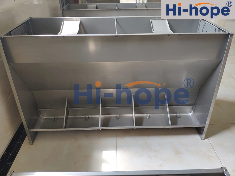 Piggery Equipment Supplier Stainless Steel Trough Pig Feeder for Sale