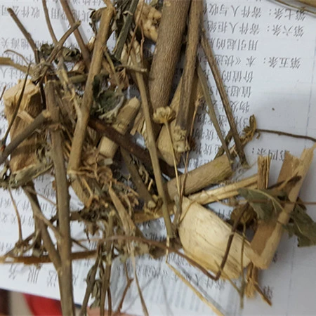 Huang Hua Ren Medicina herbaria seca SIDA acuta Hoja SIDA Rhombifolia