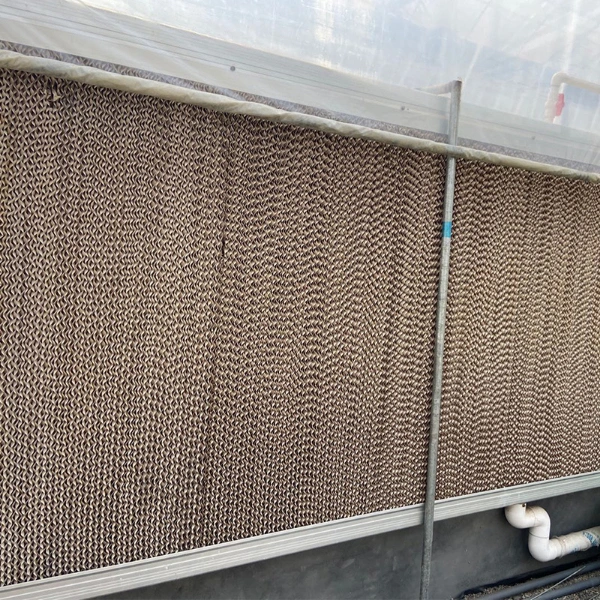 Granja Avícola en forma de panal de celulosa de papel del sistema de aire equipos de instalaciones de gases de efecto almohadilla de refrigeración