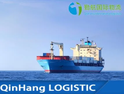 Professional DDP DDU Amazon Fba Freight Forwarder Food Shipping Agent From China to UK by Sea/Air/Rail Express