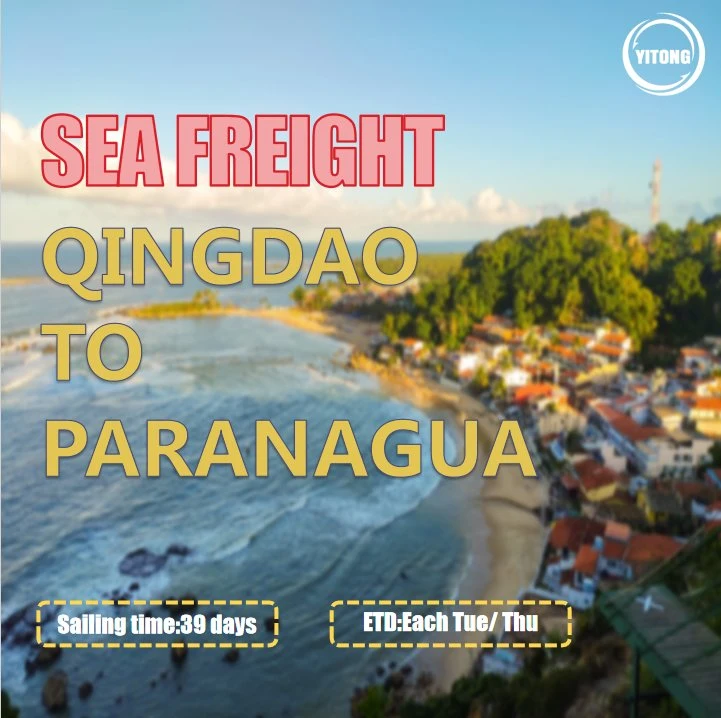 Ningbo Air Shipping Sea Freight to Paranagua Brazil