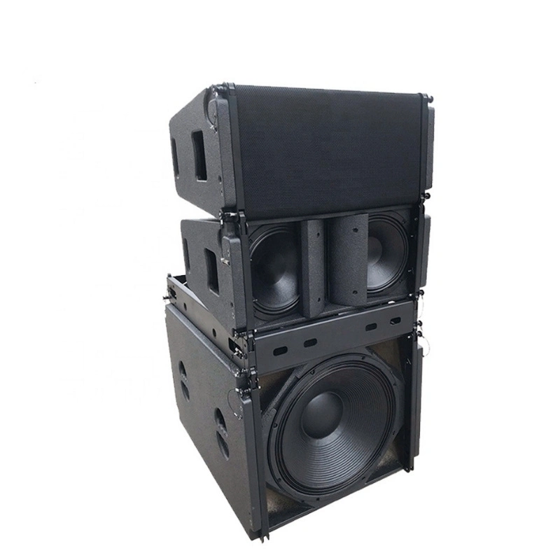 Nova 10 Inch Indoor Concert Line Array Speaker Vera20