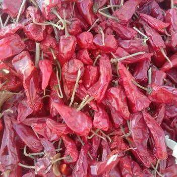 Top Product 100% Pure Dried Chili