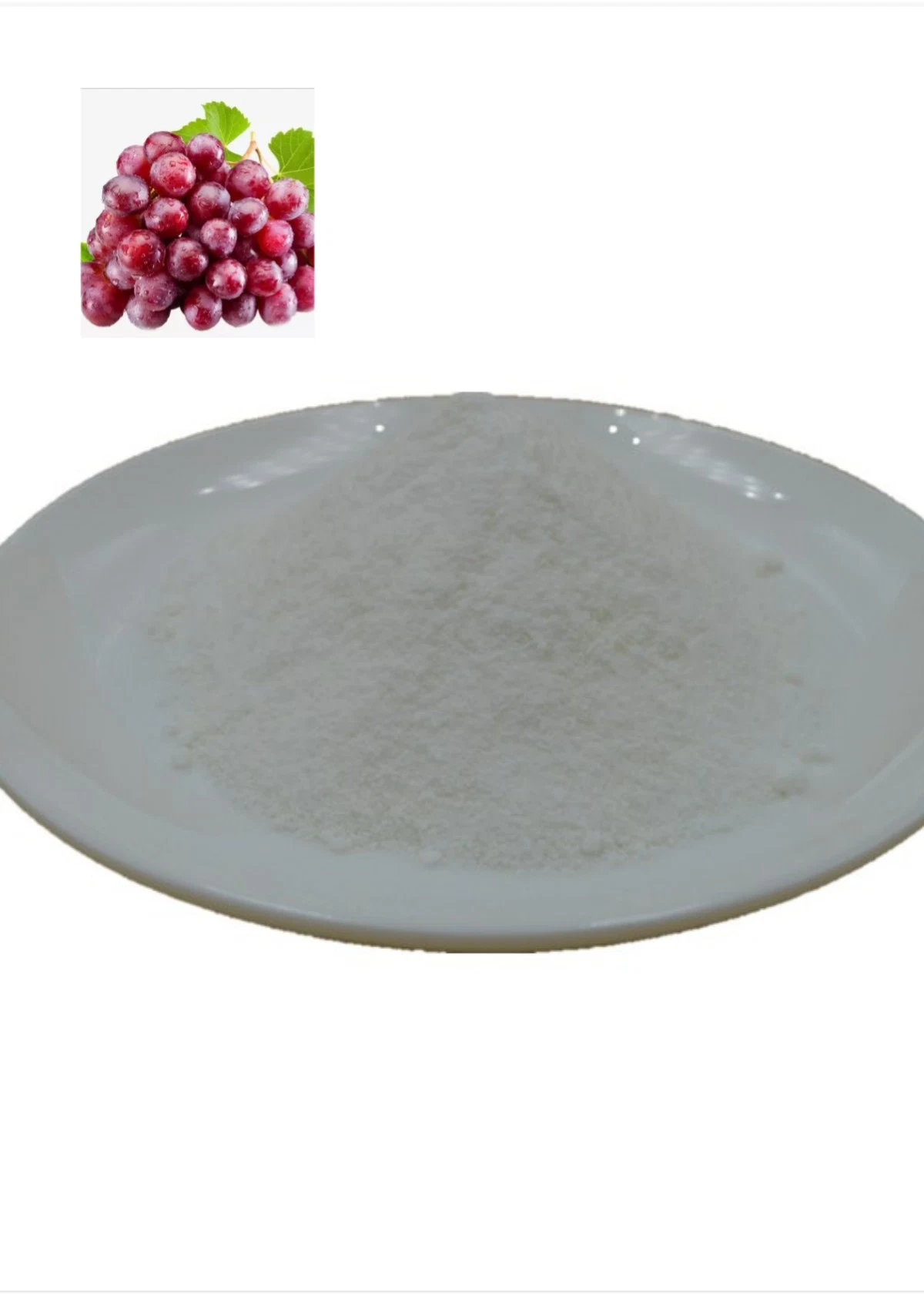 98% Trans-Resveratrol polvo Resveratrol cápsulas Polygonum cuspidatum Extracto raíz no CAS 501-36-0