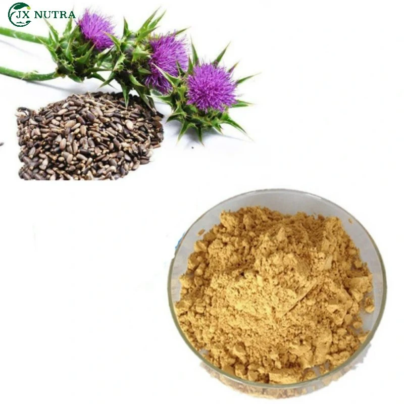 Venda por grosso Silymarin Protecção hepática Leite Antioxidante Thistle Extract