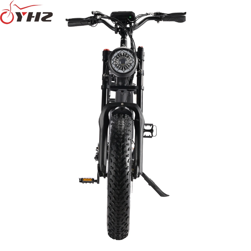 750W Adult Electric Bike USA Warehouse Spot DDP Shipment with 20-Inch Tire