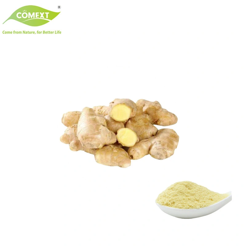 Free Sample Free Sample Zingiber Officinale Extract Gingerols Ginger Extract for Food Additives