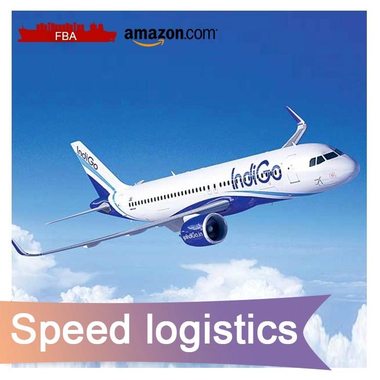 Air Shipping Cheapest Aircraft Professional Freight Forwarder to USA