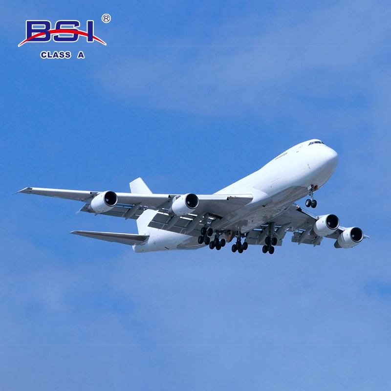 Envío de BSI desde China a Arabia Saudí Qatar DDP Envío rápido Transporte aéreo Egipto Compras en línea Dropshipping Agente