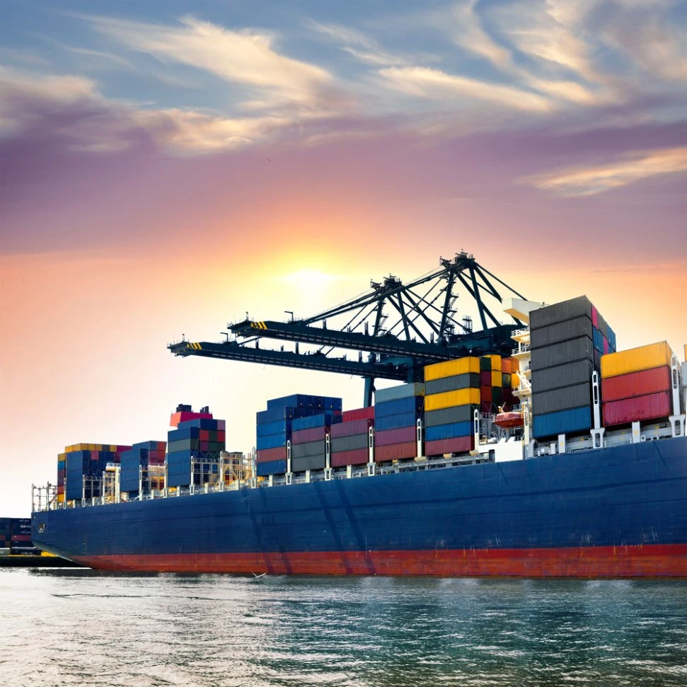 Fast Food Ocean Shipping Freight Forwarders One-Stop Logistics From China to Dubai DDP/DDU