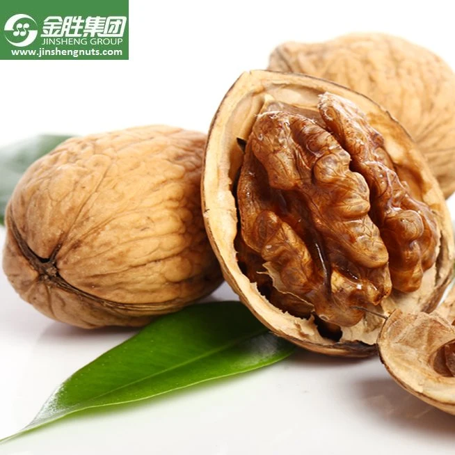 Peeled Walnuts Naturally Picked Nutritious Nuts China Walnuts Kernels