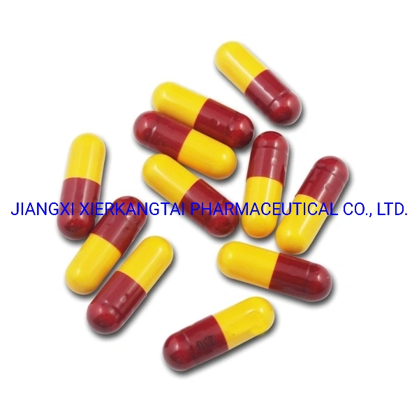 Amoxicillin Capsule 500mg 250mg GMP Certificated