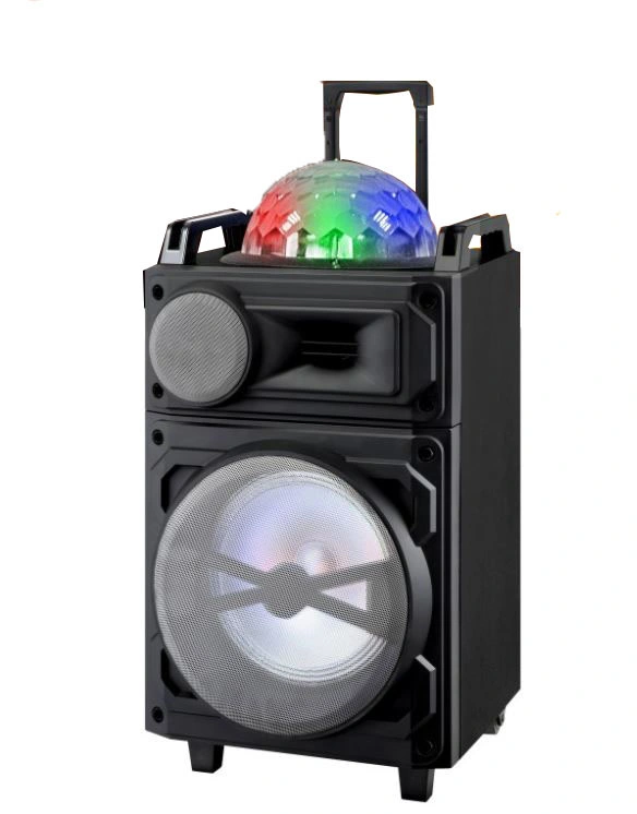 Shinco Professional Bluetooth Wireless Karaoke Trolley Speaker 10 Inches with LED Light