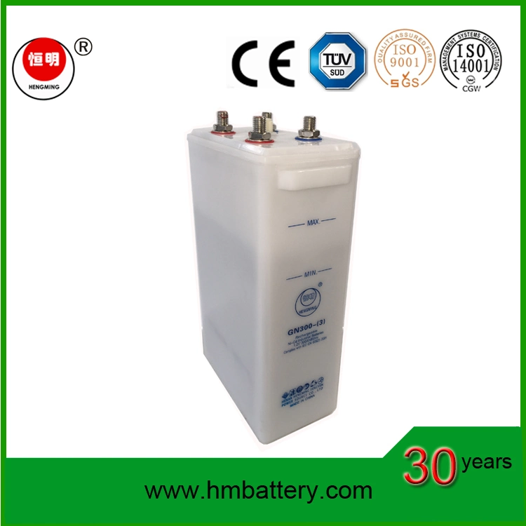 Rechargeable Pocket Type Low Rate Nickel Cadmium Battery/Ni-CD Battery