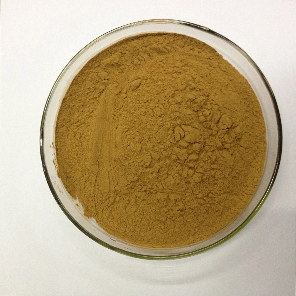 Certification ISO Pure And EU Organic Feverfew Plant Extract