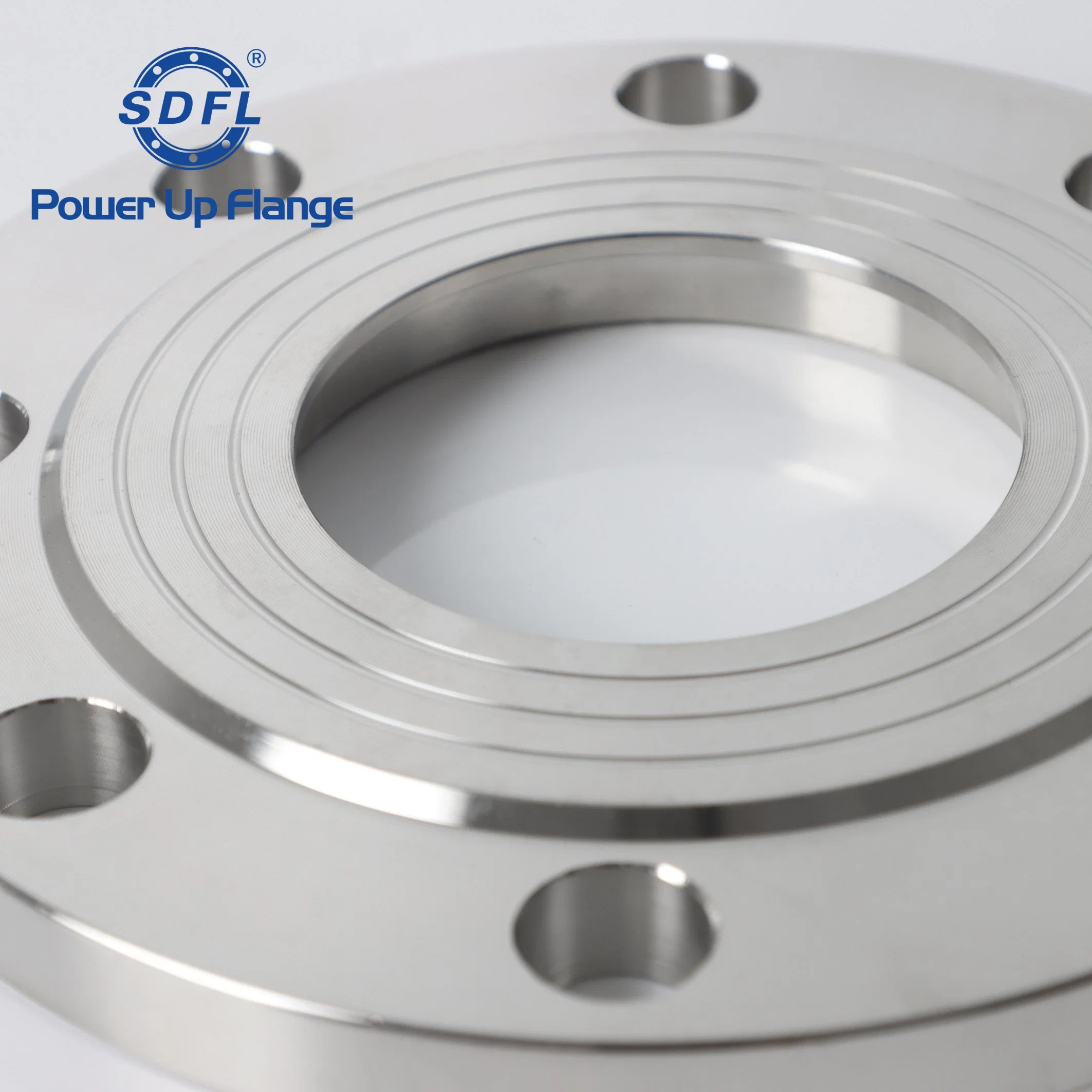 ASME B16.5 2inch 150b 304 RF Forged Stainless Steel Plate Flanges