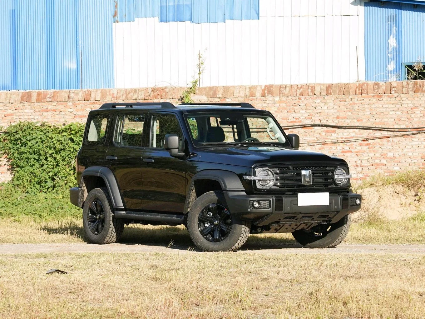 Tank 300 2023 off-Road Version 2.0t Challenger Compact SUV