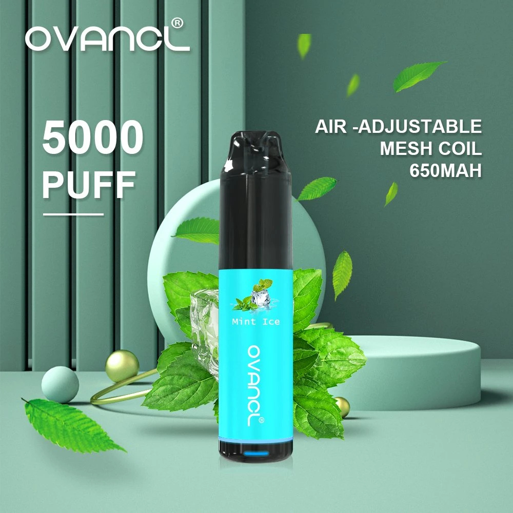 Ovancl Original Design E Cigarette 5000 Puffs Vape Rechargeable Vaporizer Air Adjustable Disposable E Ciga Free Vape Pen Starter Kit